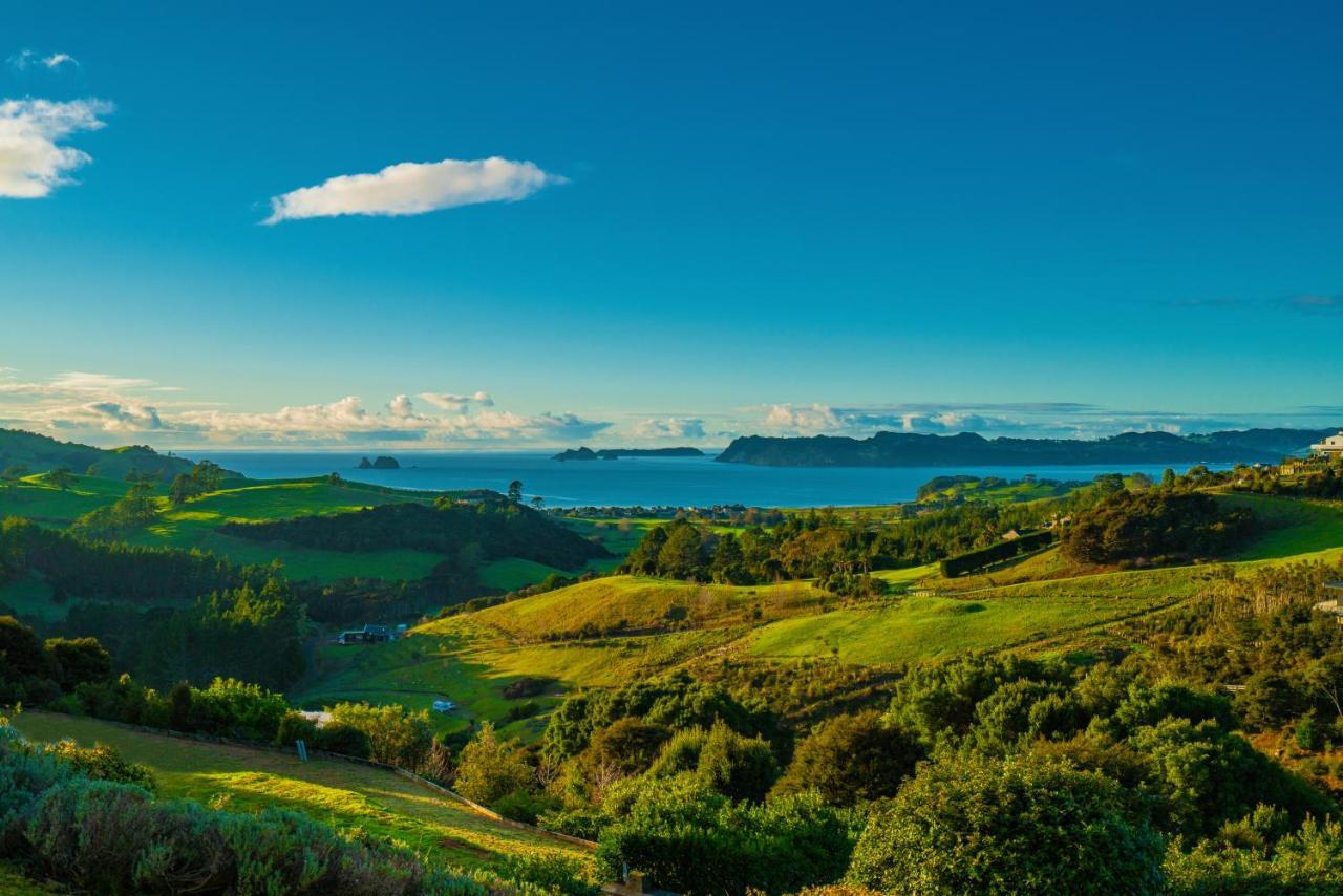 Bayview Valley Lodge Bed & Breakfast Whitianga Esterno foto
