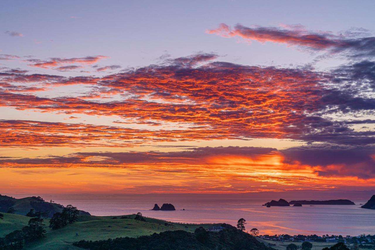 Bayview Valley Lodge Bed & Breakfast Whitianga Esterno foto