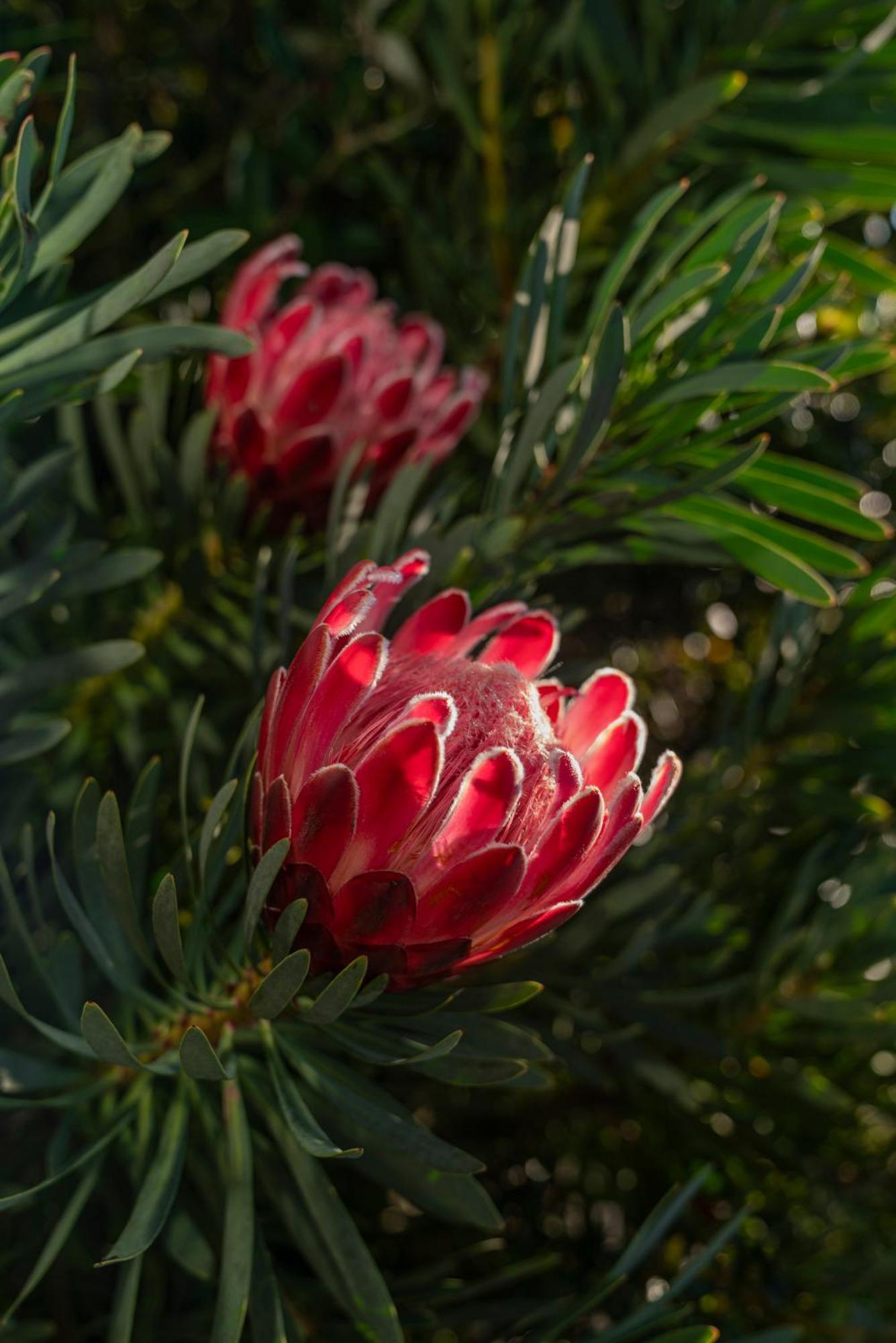 Bayview Valley Lodge Bed & Breakfast Whitianga Esterno foto