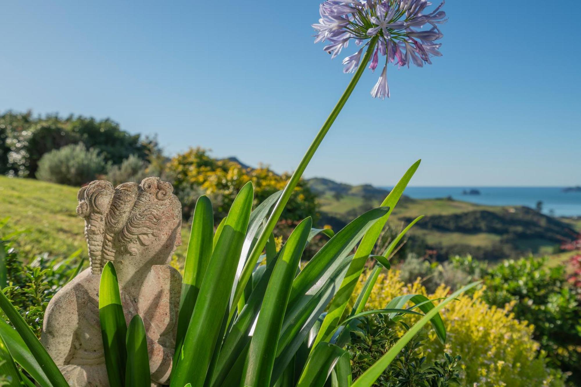 Bayview Valley Lodge Bed & Breakfast Whitianga Esterno foto